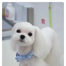 요미