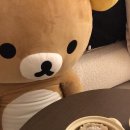 도반 이미지