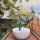 안도스테이 이미지