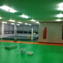 포항프라임복싱클럽 이미지