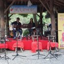 참나무쟁이 이미지