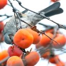 밀양힐링펜션 이미지