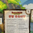 영희네돌담집_안단테 | 2월 제주동쪽 여행코스 추천 다이나믹메이즈/블루보틀 /제라진밥상