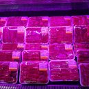 백제성숯불구이정육식당