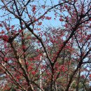 계남공원 이미지