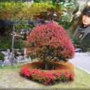 남구-019 이미지