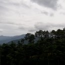 박재현컨설팅행정사사무소 이미지
