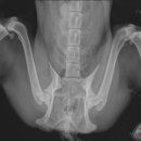 청라호수동물메디컬센터 이미지