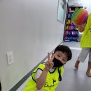 용인대 세심 태권도장 이미지