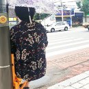 횡단보도 앞 이미지