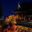 지인여행사 이미지