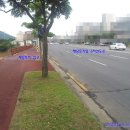 화북공인중개사사무소 이미지