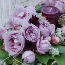 로즈팜 | 로즈팜 독일장미 구매 후기