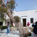 리틀미코노스6 이미지