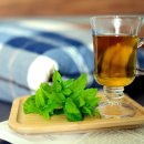 페퍼민트 이미지