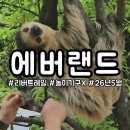플러피모먼트 | 놀이기구 없이 보낸 에버랜드의 하루 (feat. 리버트레일)