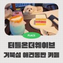 더웨이브온 | 거북섬 애견동반 크리스마스 카페 터틀온더웨이브