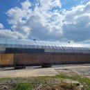 수능엄사 옆 이미지