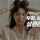 티트리 헤어살롱