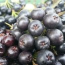 해들농장 이미지