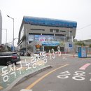 현대회수산시장
