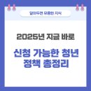 2025년 지금 바로 신청 가능한 청년 정책 총정리! 놓치면 손해인 정부 혜택 모음