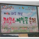 [경남 하동] 제4회 하동.북천 코스모스.메밀꽃 축제 이미지