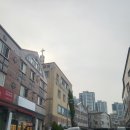 고흥 홍교 동물병원 | 광주에서고흥택시 광주고흥택시 광주송정역택시