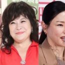 [태평로] 노사연·이하늬·김별아가 ‘출산 전도사’가 된 이유 이미지