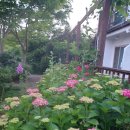 바위섬소도 이미지