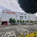 누리애견미용 이미지