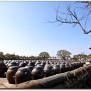 덕양농원 이미지