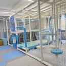 덕신야영장 이미지