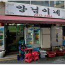 양님이네 이미지