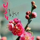 권*영