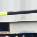 내강아지&내야옹이 이미지