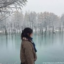 송화로31번길 5-2 | 삿포로 여행 비에이 버스투어 11월 날씨 내돈내산 예약 후기