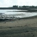 하모해수욕장 이미지