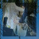 문산읍-6 | 파주 하수구뚫음 시스템화 진서면 문산읍 욕실막힘 전문성높은업체