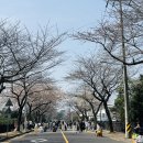 대륜동-2 이미지