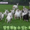 옥전목장 이미지