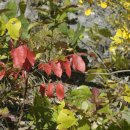 삼형제농장 이미지