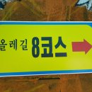 월평하원로 이미지