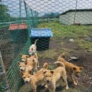 종은목장2 이미지