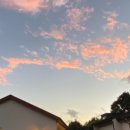 수망일기 이미지