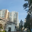 영진보람 이미지