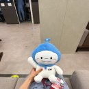 옷대장 | KMI 강남센터 건강검진 인생 첫 대장내시경 용종 제거 후기 + 하프렙산 복용법