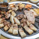 유달정육