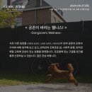 위드펫종합동물병원 이미지