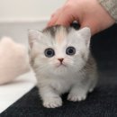 청도메디컬 이미지